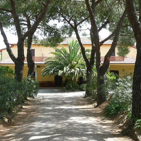 Podere Oslavia Az.Agr.Bio Giannini 奥贝里塞 外观 照片