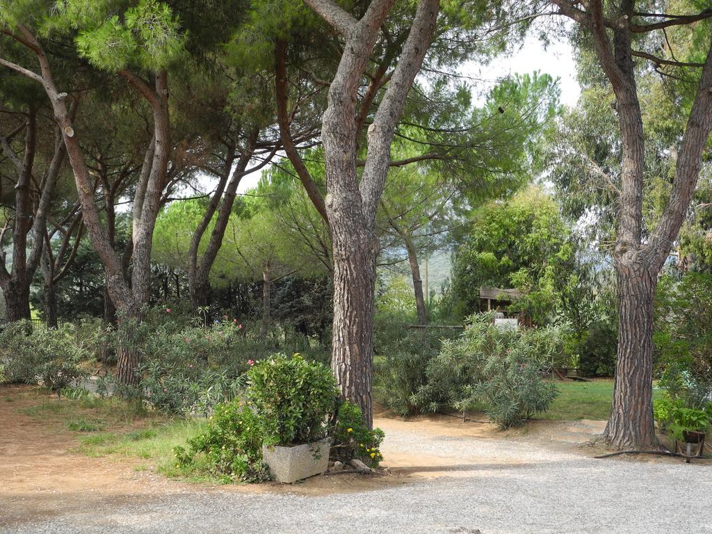Podere Oslavia Az.Agr.Bio Giannini 奥贝里塞 外观 照片