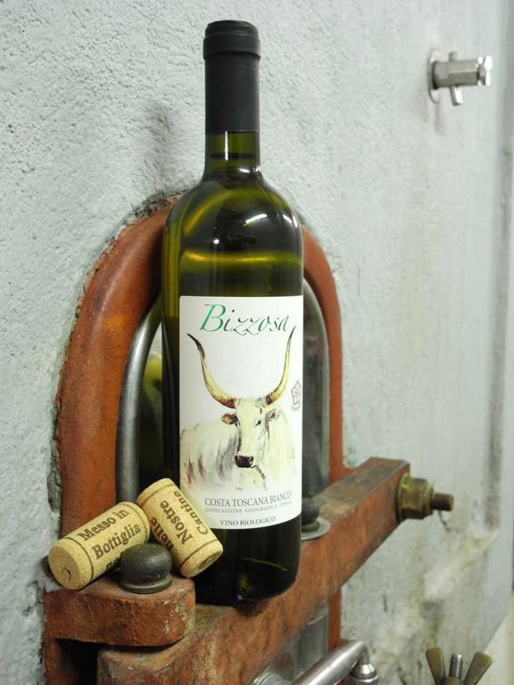 Podere Oslavia Az.Agr.Bio Giannini 奥贝里塞 外观 照片