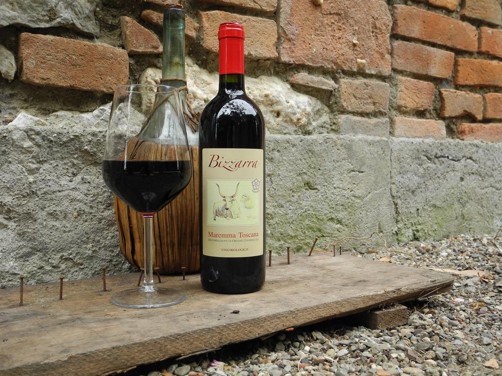 Podere Oslavia Az.Agr.Bio Giannini 奥贝里塞 外观 照片