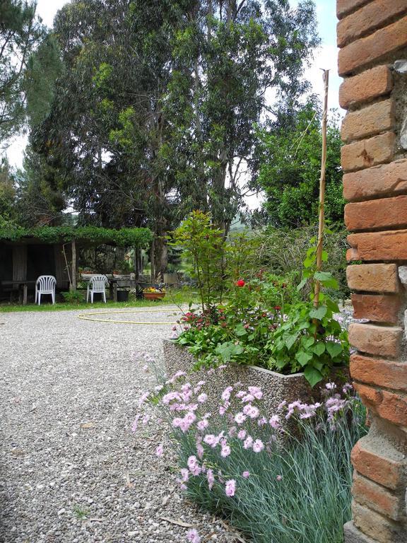 Podere Oslavia Az.Agr.Bio Giannini 奥贝里塞 外观 照片