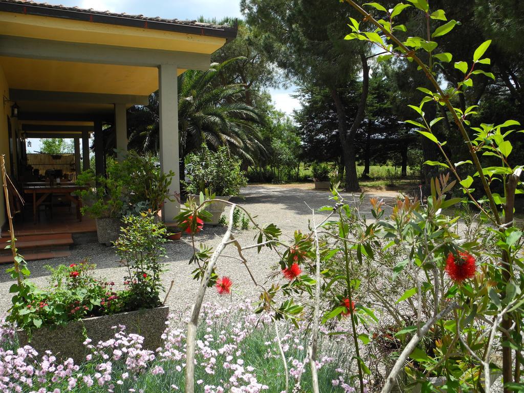 Podere Oslavia Az.Agr.Bio Giannini 奥贝里塞 外观 照片