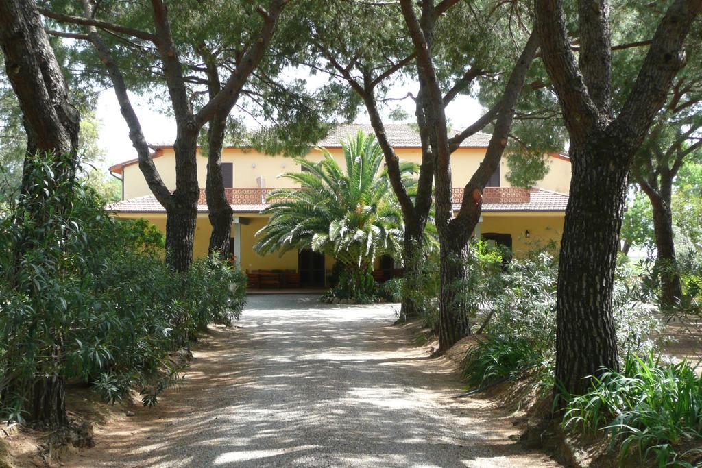 Podere Oslavia Az.Agr.Bio Giannini 奥贝里塞 外观 照片