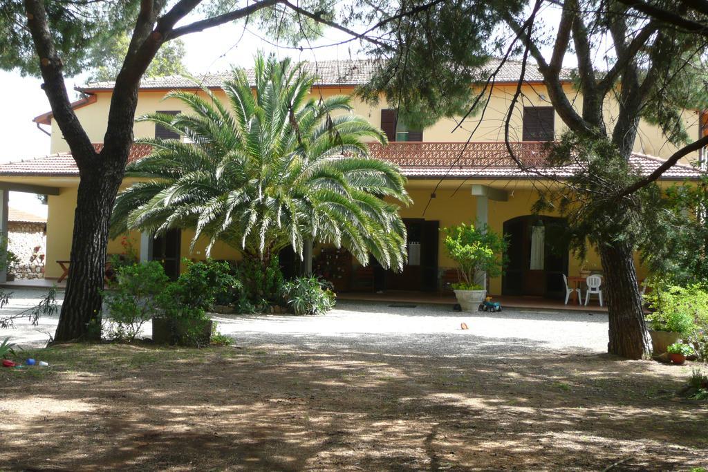 Podere Oslavia Az.Agr.Bio Giannini 奥贝里塞 外观 照片